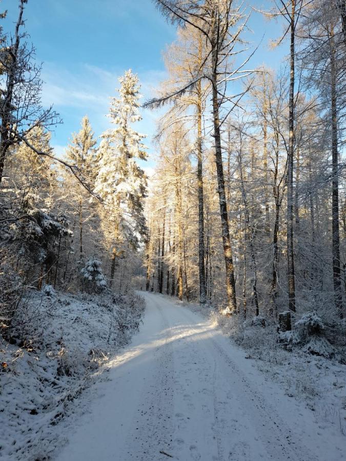 Fraenkische Linie - Radspitz-Ferienwohnungen Marktrodach Exterior foto